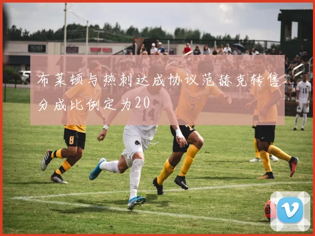 布莱顿与热刺达成协议范赫克转售分成比例定为20
