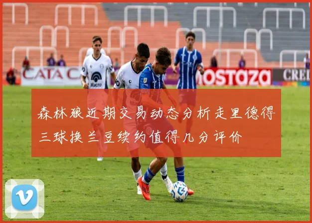 森林狼近期交易动态分析走里德得三球换兰豆续约值得几分评价